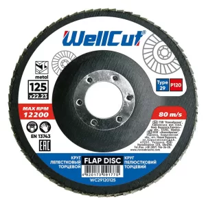 Круг WellCut пелюстковий Standard P120 Т29 (5/10)